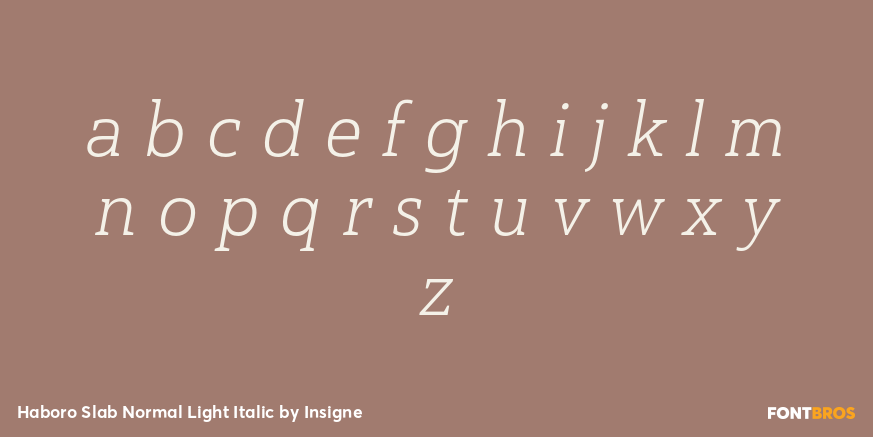 Haboro Slab Normal Light Italic Font Poster #3