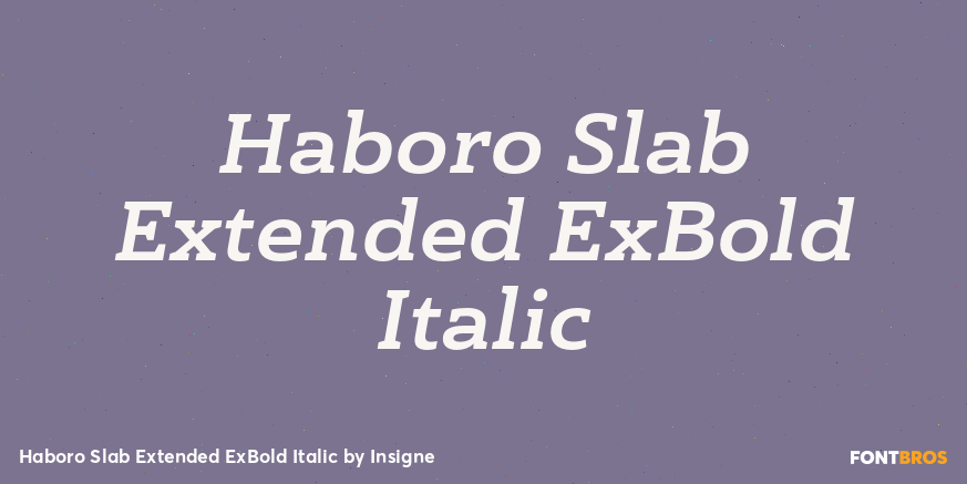 Haboro Slab Extended ExBold Italic Font Poster #1