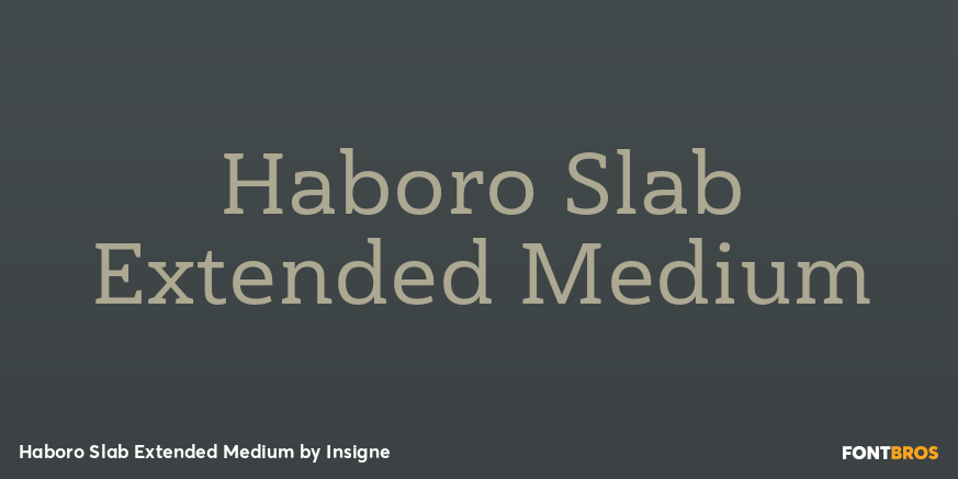 Haboro Slab Extended Medium Font Poster #1