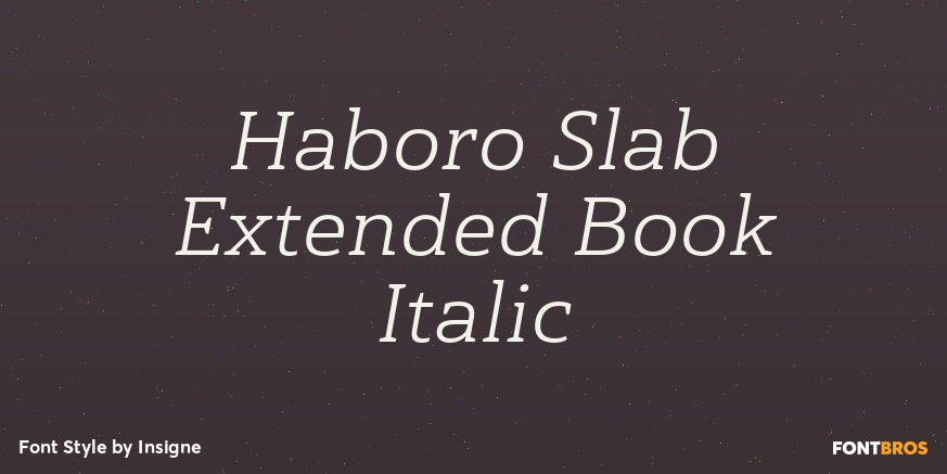 Haboro Slab Extended Book Italic Font Poster #1