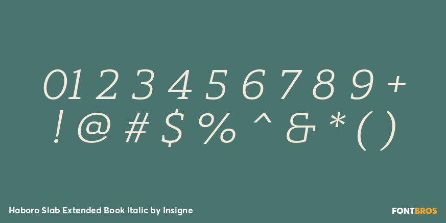 Haboro Slab Extended Book Italic Font Poster #1