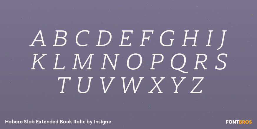 Haboro Slab Extended Book Italic Font Poster #2