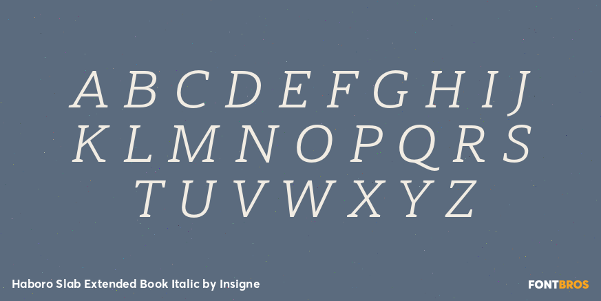 Haboro Slab Extended Book Italic Font Poster #1