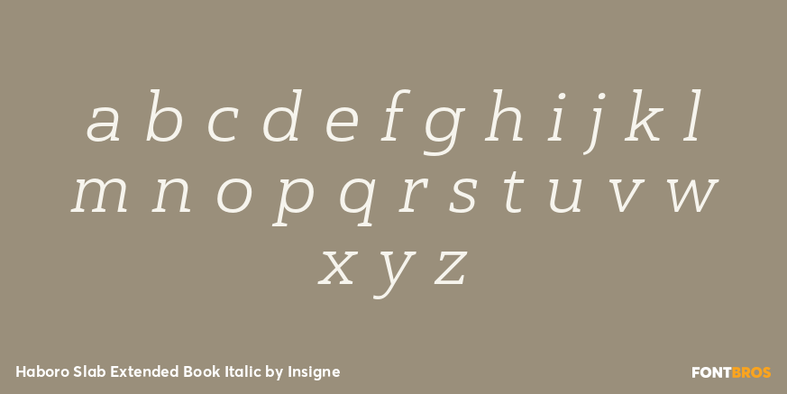 Haboro Slab Extended Book Italic Font Poster #1