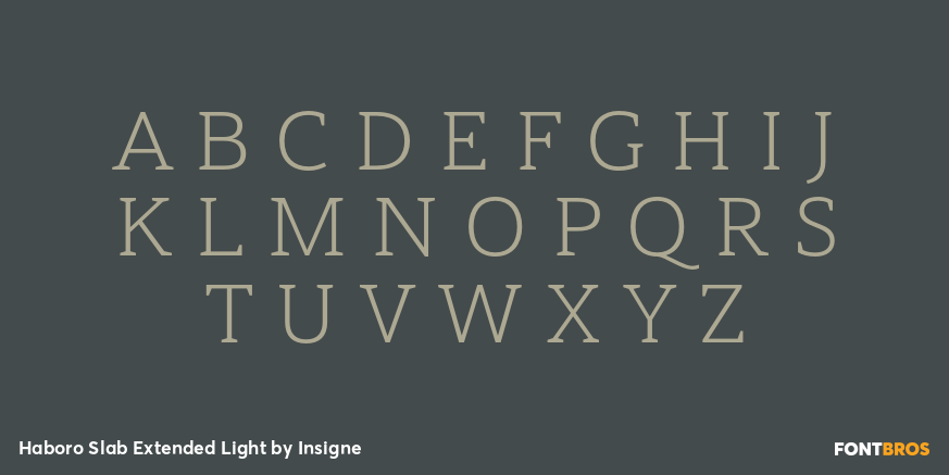 Haboro Slab Extended Light Font Poster #2