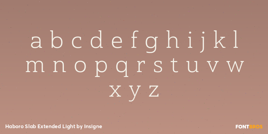 Haboro Slab Extended Light Font Poster #3