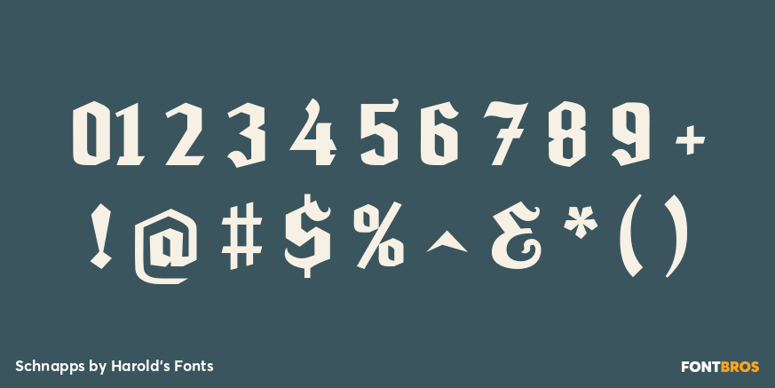 Schnapps Font Poster #4