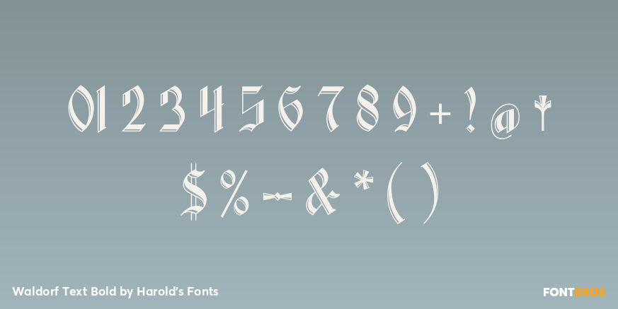 Waldorf Text Bold Font Poster #4