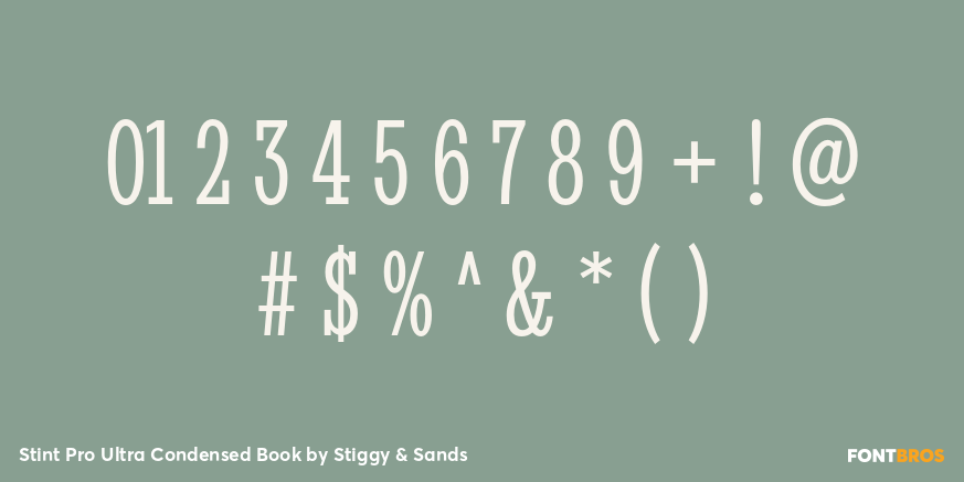 Stint Pro Ultra Condensed Book Font Poster #4
