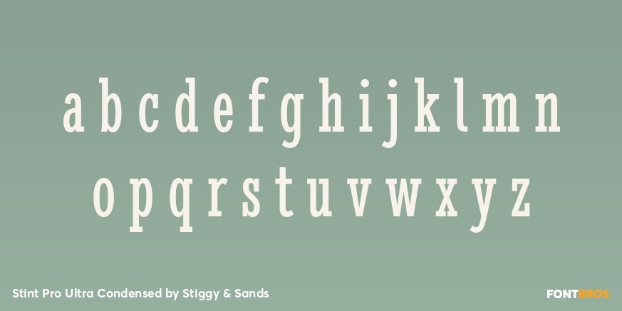 Stint Pro Ultra Condensed Font Poster #3