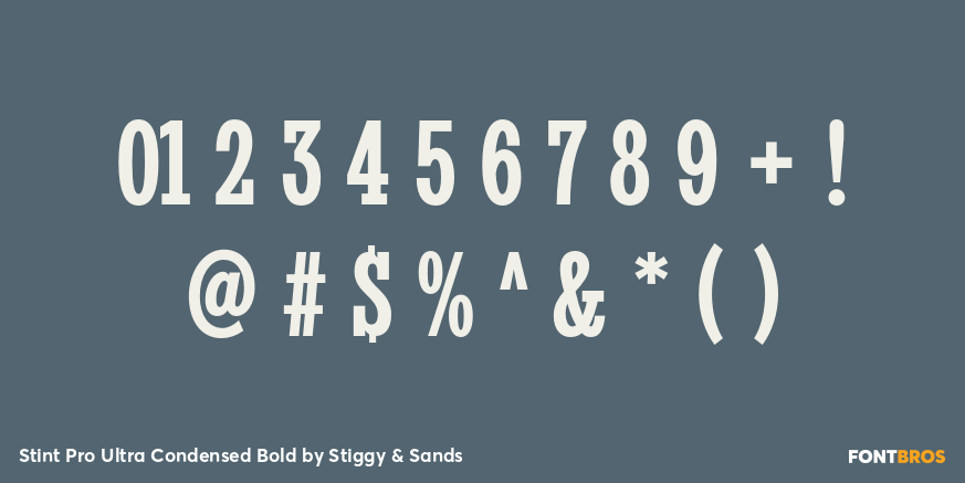 Stint Pro Ultra Condensed Bold Font Poster #1