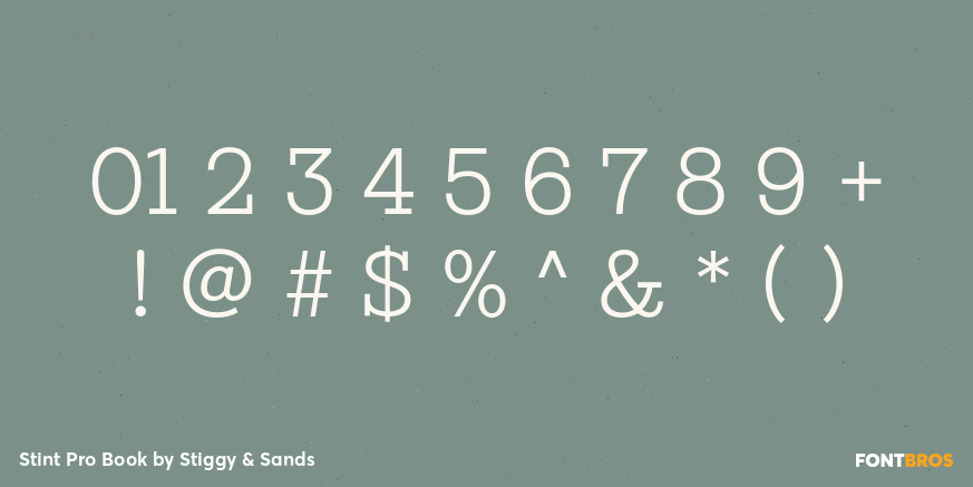 Stint Pro Book Font Poster #1