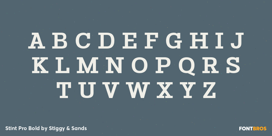 Stint Pro Bold Font Poster #2
