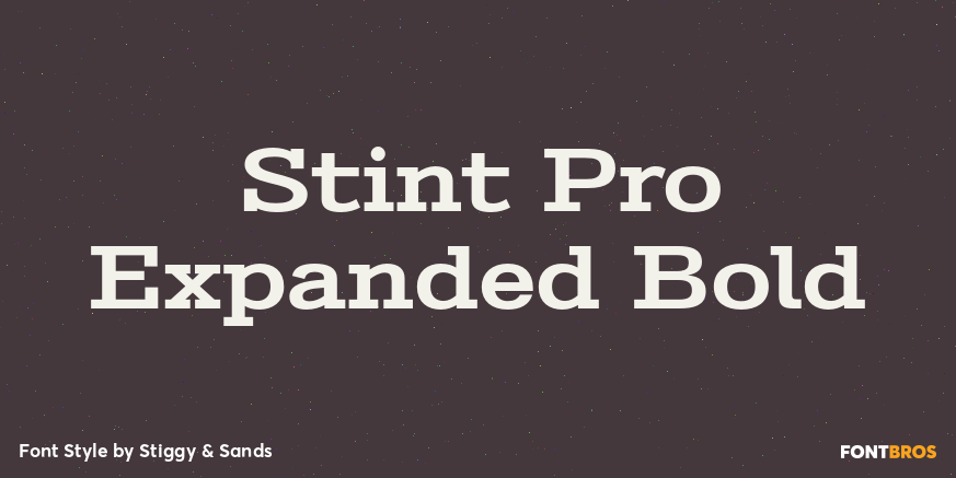 Stint Pro Expanded Bold Font Poster #1