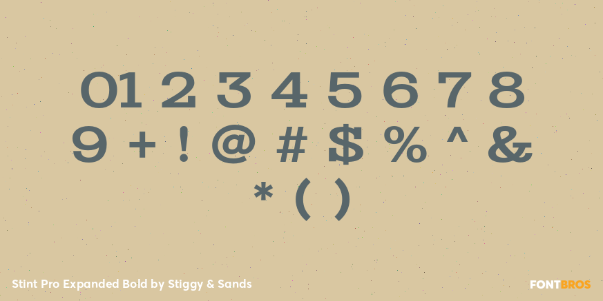 Stint Pro Expanded Bold Font Poster #1