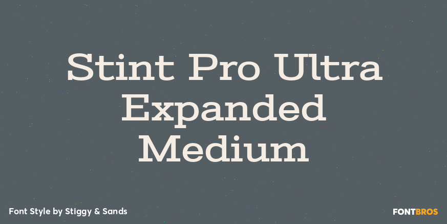 Stint Pro Ultra Expanded Medium Poster