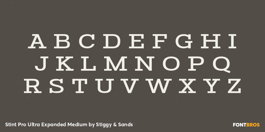 Stint Pro Ultra Expanded Medium Font Poster #2
