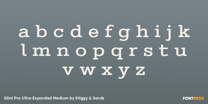 Stint Pro Ultra Expanded Medium Font Poster #3