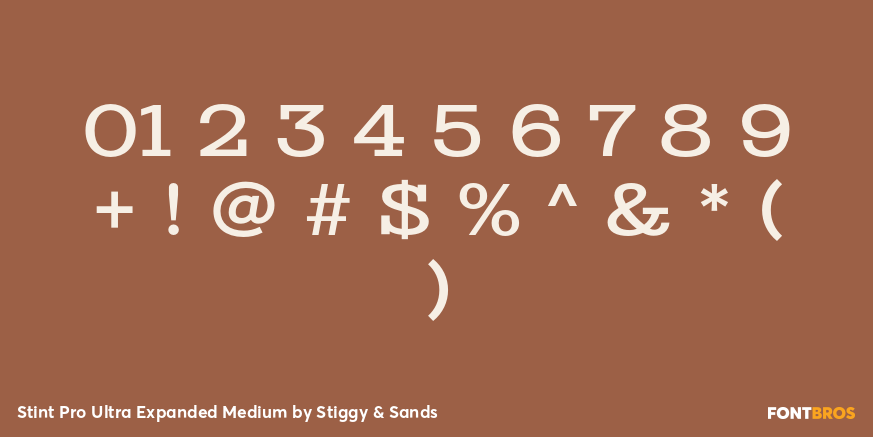 Stint Pro Ultra Expanded Medium Font Poster #4