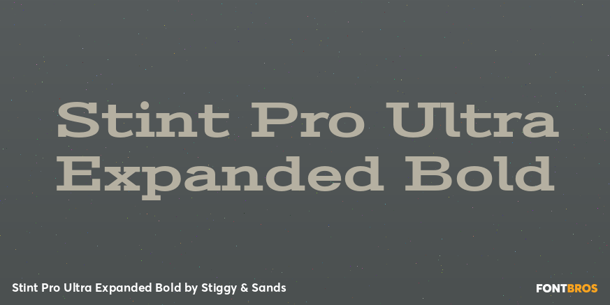 Stint Pro Ultra Expanded Bold Font Poster #1