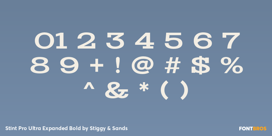 Stint Pro Ultra Expanded Bold Font Poster #4
