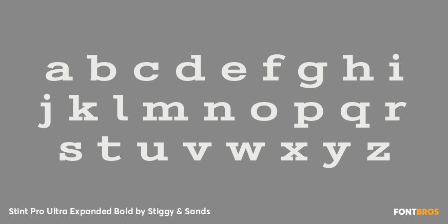 Stint Pro Ultra Expanded Bold Font Poster #1