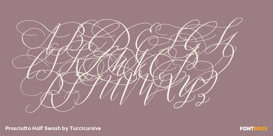 Prosciutto Half Swash Font Poster #1