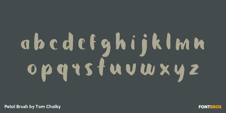 Petal Brush Font Poster #1