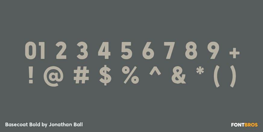 Basecoat Bold Font Poster #1