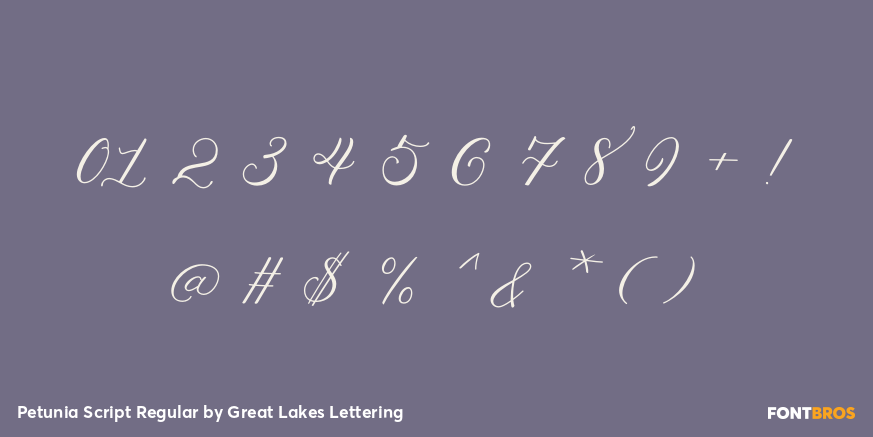 Petunia Script Regular Font Poster #4