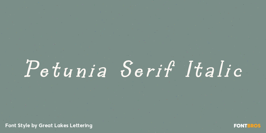 Petunia Serif Italic Poster