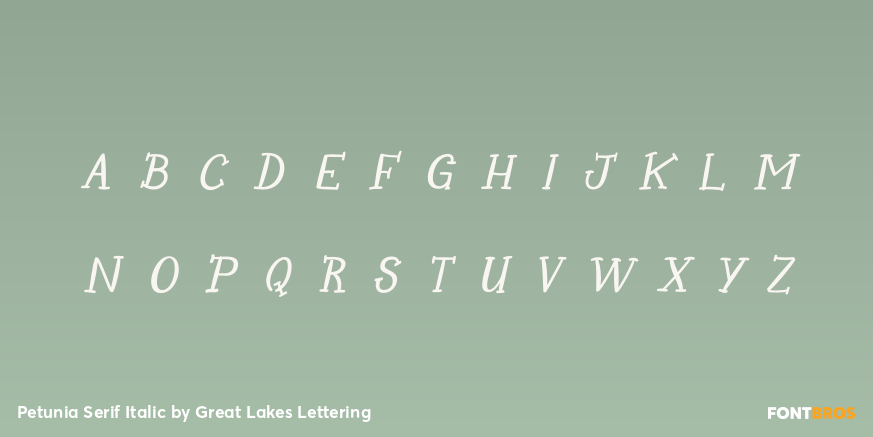 Petunia Serif Italic Font Poster #2