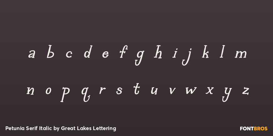 Petunia Serif Italic Font Poster #3