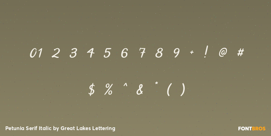 Petunia Serif Italic Font Poster #4
