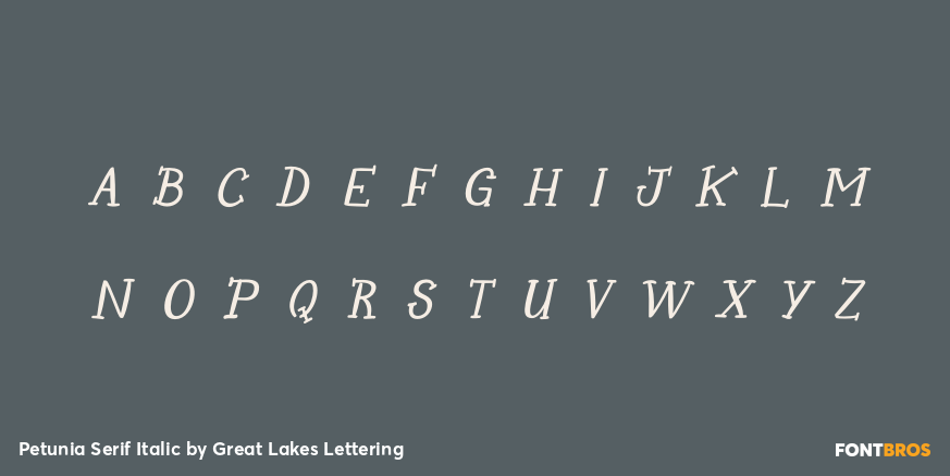 Petunia Serif Italic Font Poster #1