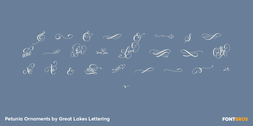 Petunia Ornaments Font Poster #2