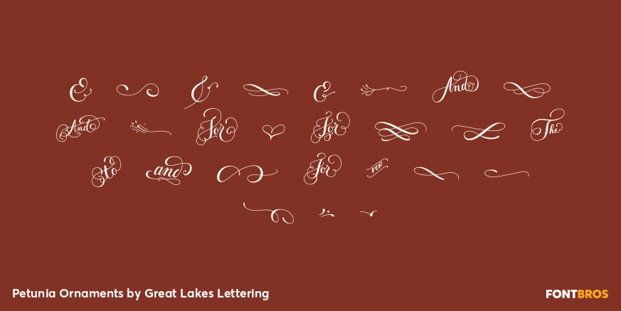 Petunia Ornaments Font Poster #3