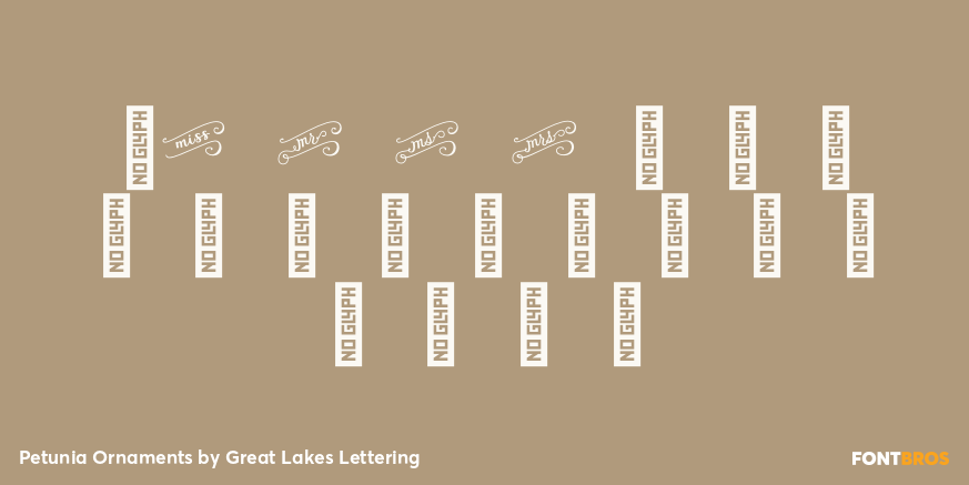 Petunia Ornaments Font Poster #4