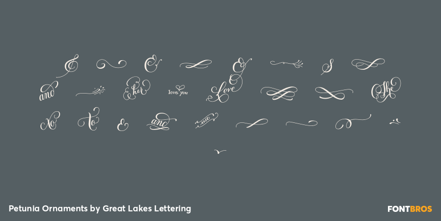 Petunia Ornaments Font Poster #1