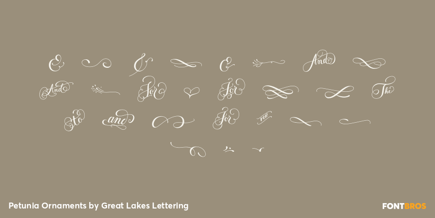 Petunia Ornaments Font Poster #1