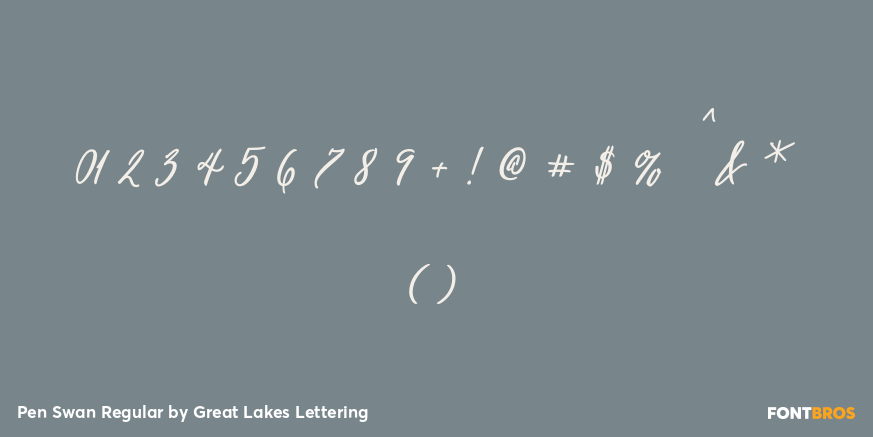 Pen Swan Regular Font Poster #4