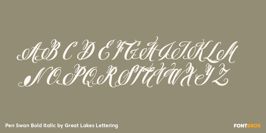 Pen Swan Bold Italic Font Poster #2
