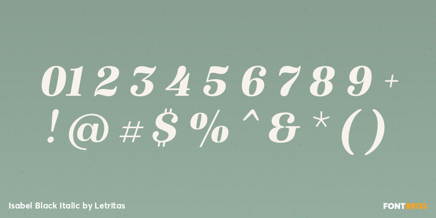 Isabel Black Italic Font Poster #4