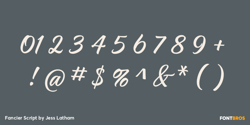 Fancier Script Font Poster #1
