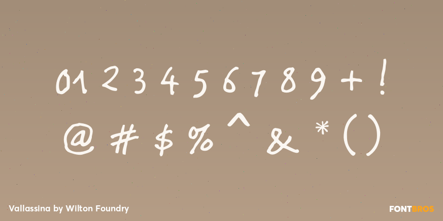 Vallassina Font Poster #4