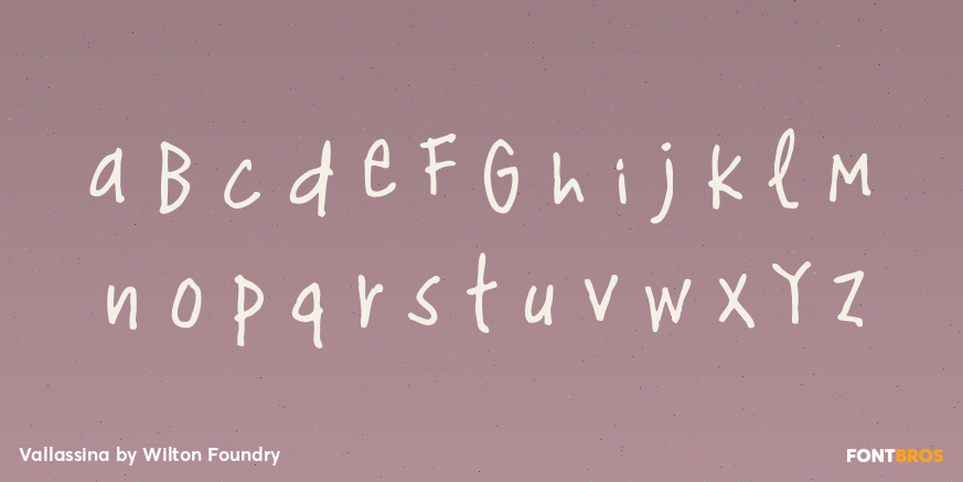 Vallassina Font Poster #3