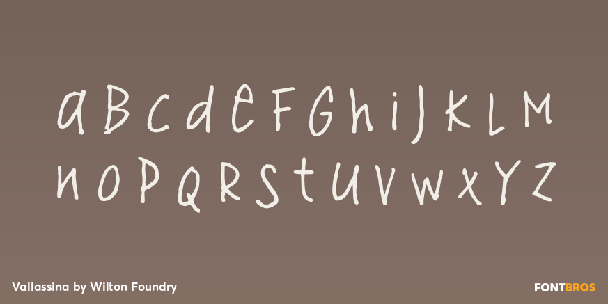 Vallassina Font Poster #2