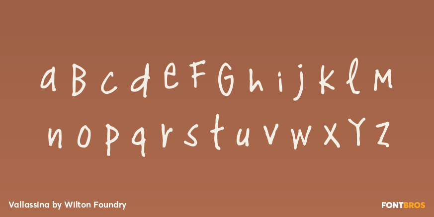 Vallassina Font Poster #3