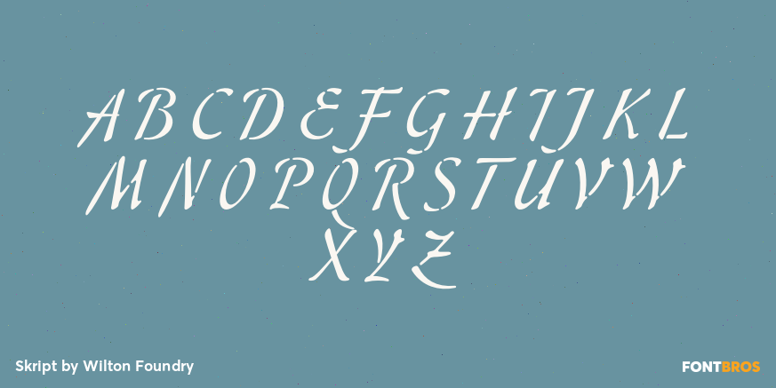 Skript Font Poster #2