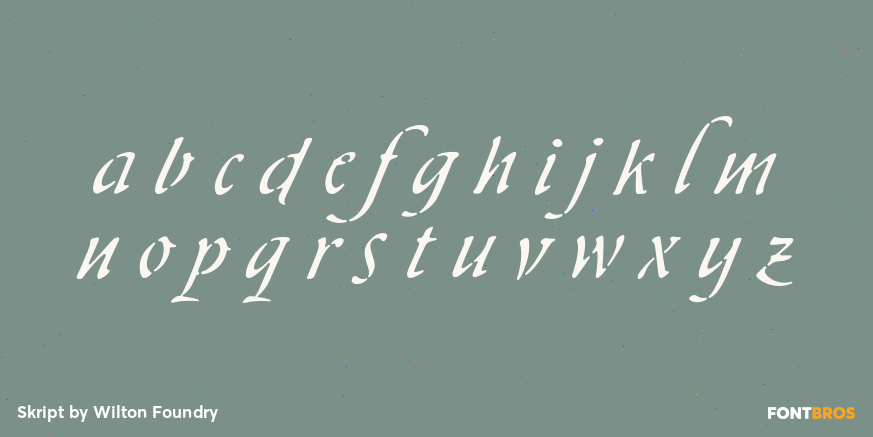 Skript Font Poster #3